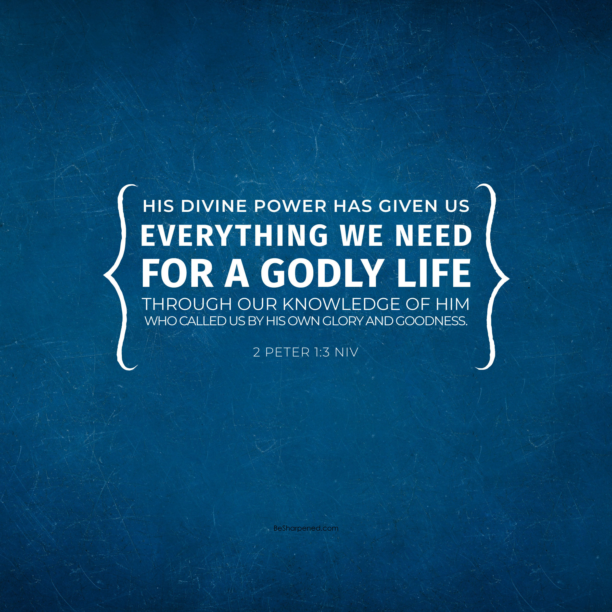 2 Peter 1:3 - godly life