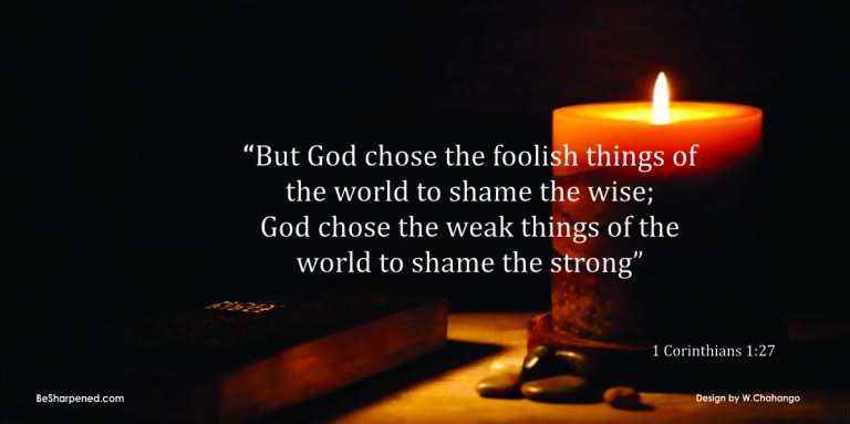 God Chooses the Weak and Foolish (Weekly Devotions)