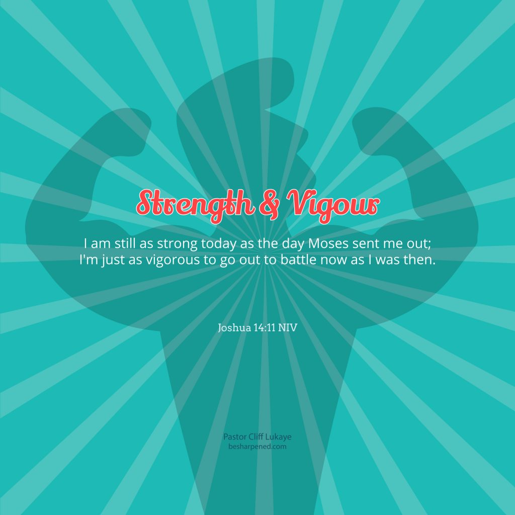 Joshua 14:11