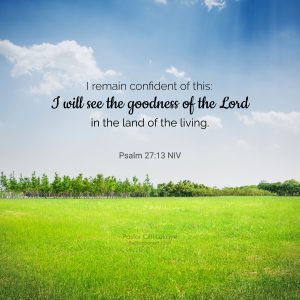 Psalm 27:13 ~ Daily Devotion February 1 2023 - Daily Devotional