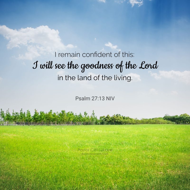 Psalm 27:13 ~ Daily Devotion February 1 2023 - Daily Devotional