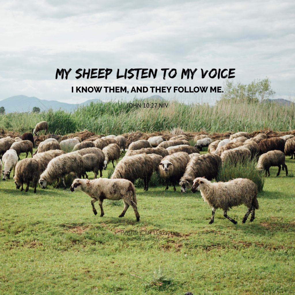 John 10:27