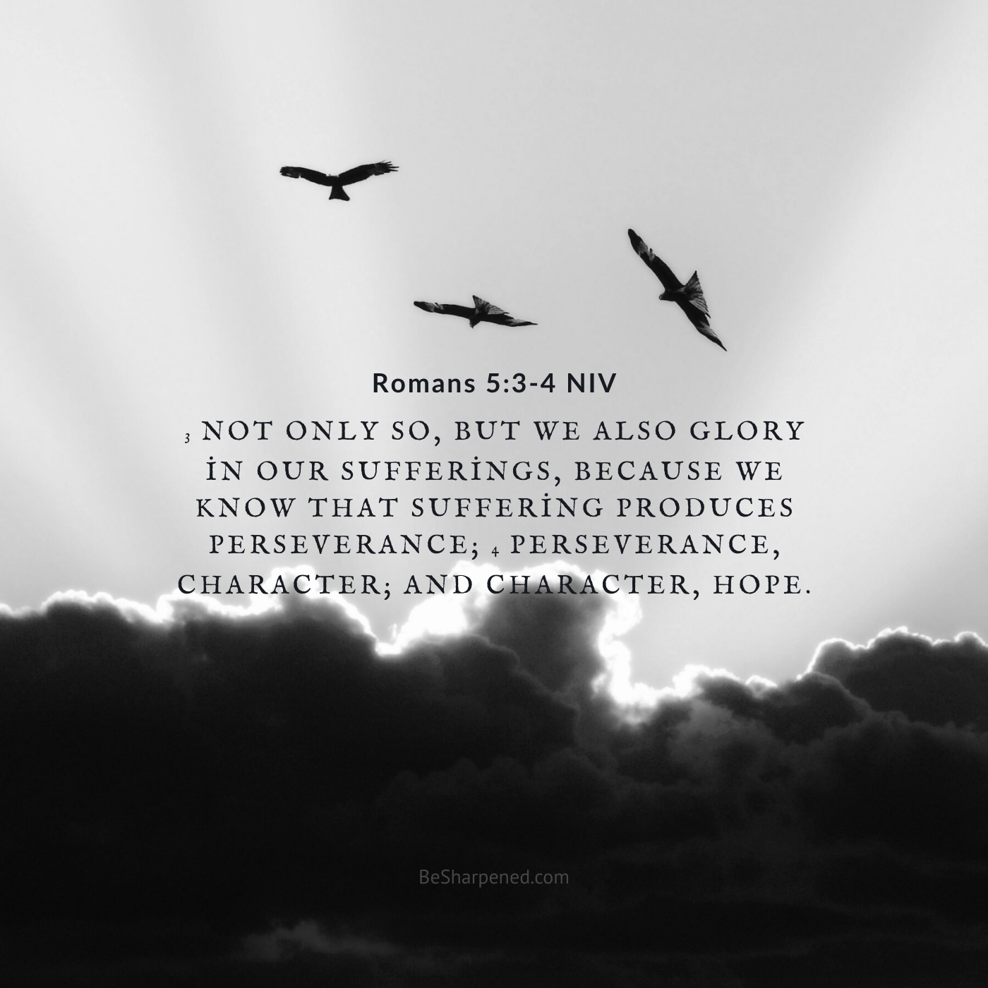 Rejoicing in suffering – Romans 5:3–4 devotional image